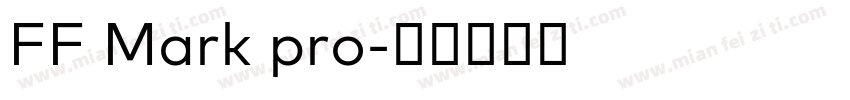 FF Mark pro字体转换